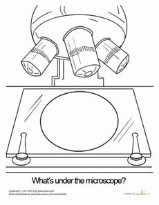 Microscope Coloring Page