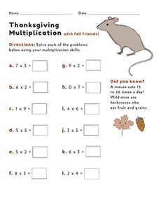 Thanksgiving Multiplication #5