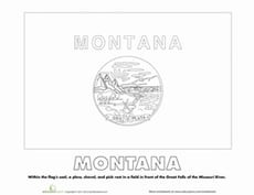 Montana State Flag