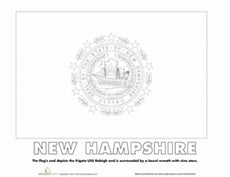 New Hampshire State Flag