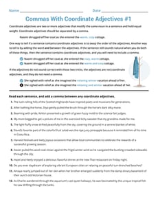 Commas With Coordinate Adjectives #1