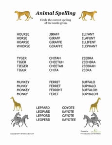 Animal Spelling