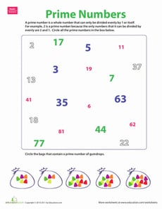 Prime Number Practice