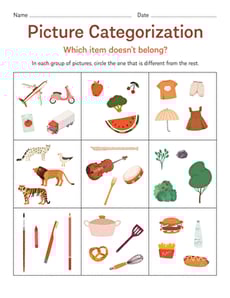 Picture Categorization