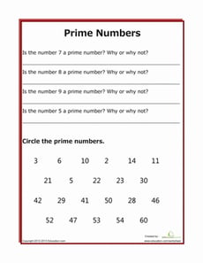 Practice with Prime Numbers