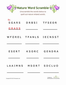 Nature Word Scramble