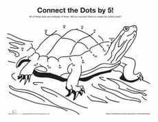 Skip Counting Turtle