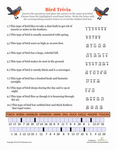 Bird Trivia
