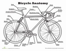 Anatomy of a Bicycle