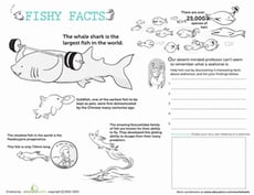Fish Facts