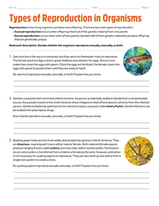 Types of Reproduction in Organisms