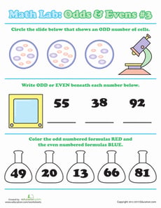Math Lab: Odds & Evens #3