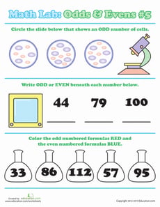 Math Lab: Odds & Evens #5