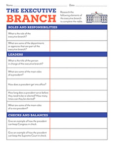 The Executive Branch