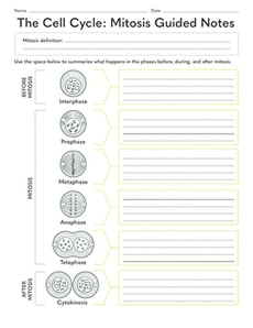 The Cell Cycle: Mitosis Guided Notes