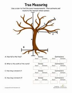 Ruler Measurement #4