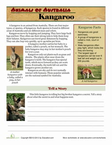 National Animal of Australia