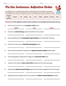 Fix the Sentences: Adjective Order