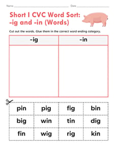 Short I CVC Word Sort: -ig and -in (Words)