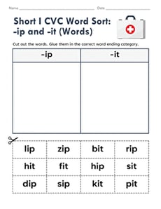 Short I CVC Word Sort: -ip and -it (Words)