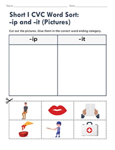 Short I CVC Word Sort: -ip and -it (Pictures)