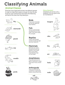 Classifying Animals
