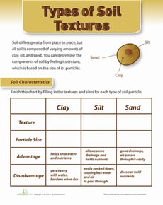 Soil Texture