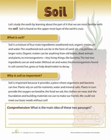 What is Soil?