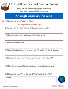 Following Instructions #2
