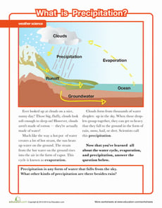 What is Precipitation?