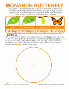 Make a Butterfly Pie Chart!