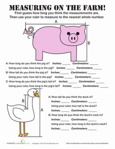 Estimation for Kids