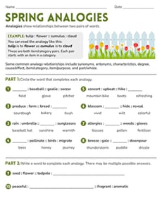 Spring Analogies