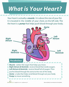 Your Heart