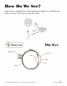 How Do We See?