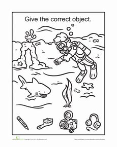 Scuba Diving Missing Object