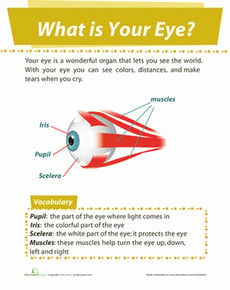 Eye Diagram