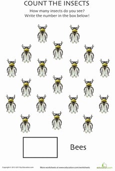 Counting Bees