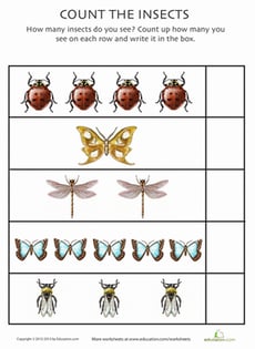 Count The Insects