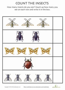 Count the Insects 2