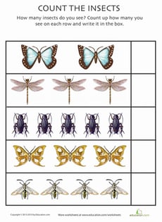 Count the Insects 3