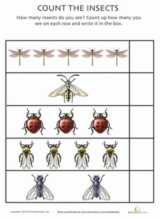 Count the Insects 4