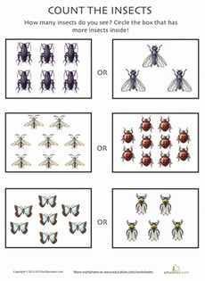 Count the Insects 6