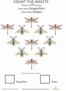 Insect Counting Worksheet: Wasps and Dragonflies