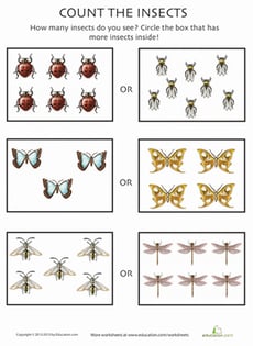 Count the Insects 8
