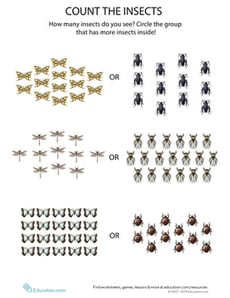 Count the Insects 9