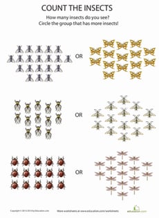Count the Insects 10