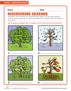 The Four Seasons
