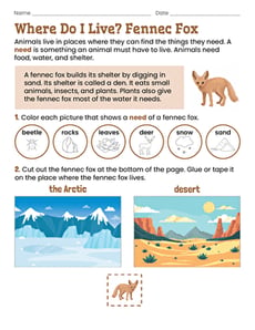 Where Do I Live? Fennec Fox