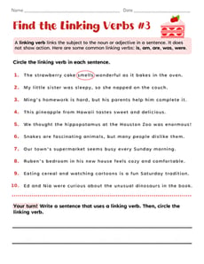 Find the Linking Verbs #3